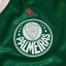 Palmeiras 2